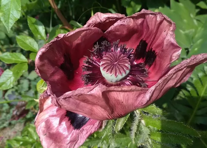 Auszeitoase Am Saechs. Jakobsweg Apartment Naundorf (Mittelsachsen)